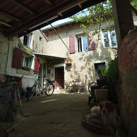 Alexa Et Compagnie Bed & Breakfast Mazamet Bagian luar foto