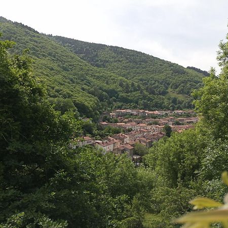 Alexa Et Compagnie Bed & Breakfast Mazamet Bagian luar foto