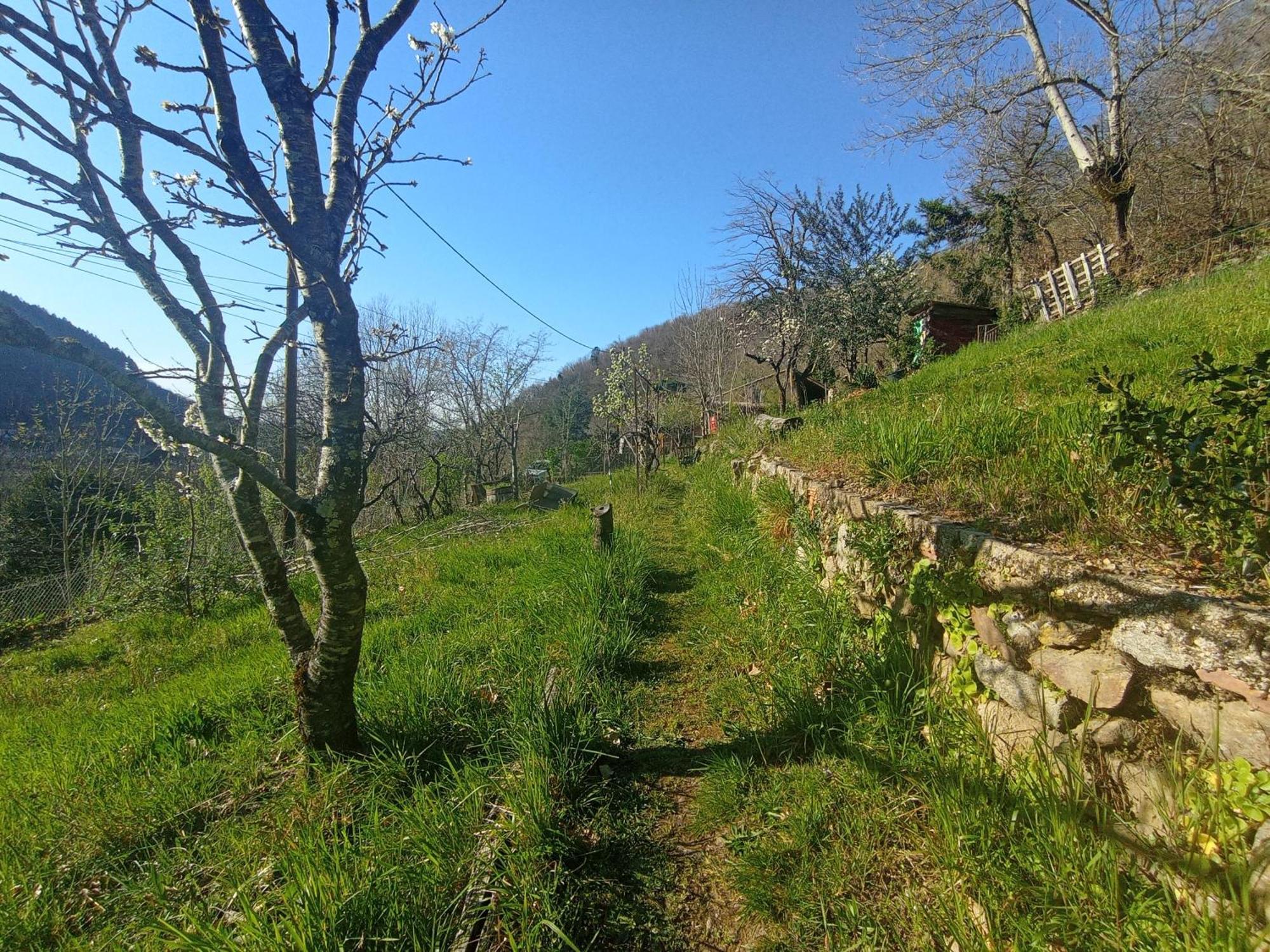 Alexa Et Compagnie Bed & Breakfast Mazamet Bagian luar foto